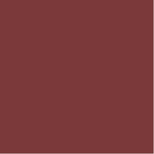 Rockfon Color-all A Vlak Inleg (71) Scarlet A24 600x600x25 mm